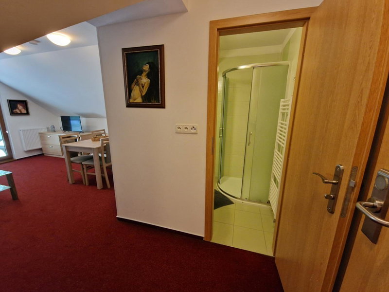 Wellness hotel Chata Jana, Uhersky Brod, Czechia