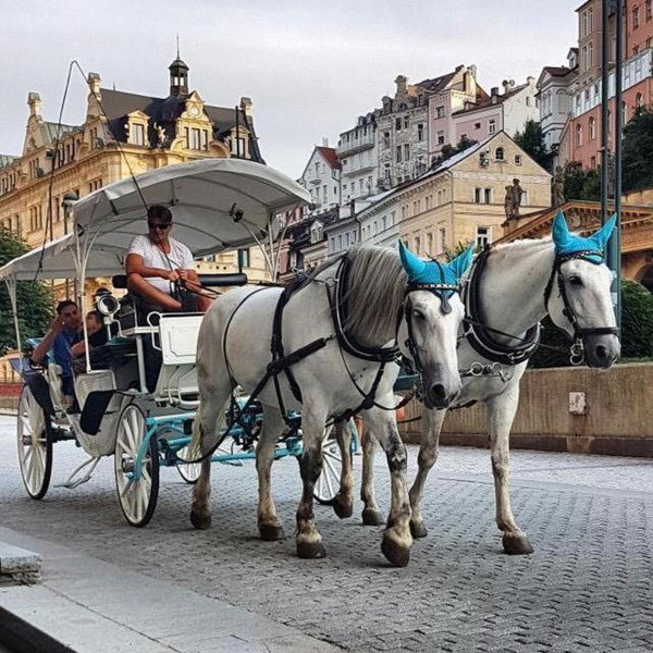 Ferdinandhof Apart-Hotel, Karlovy Vary, Czechia