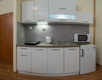 Apartmány Divoký Anděl, Bruntal, Czechia