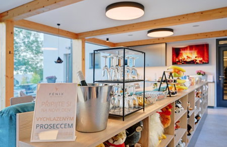 Wellness Hotel Fénix, Liberec, Czechia
