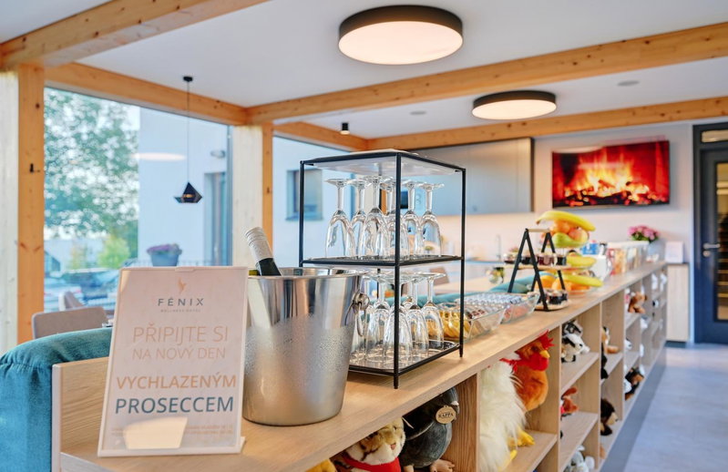 Wellness Hotel Fénix, Liberec, Czechia