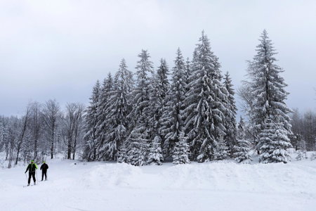 Apart Hotel Jablonec, Jablonec nad Nisou, Czechia