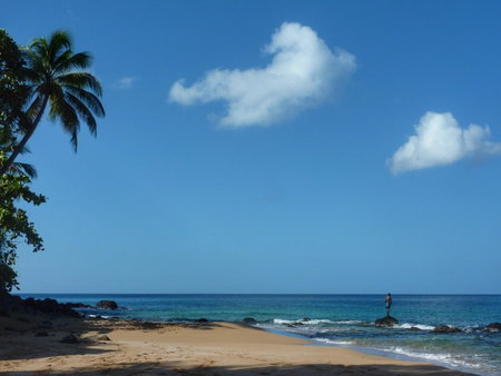 Studio Malacca, Malanga et Majacudja - Ô Cœur de Deshaies, Deshaies, Guadeloupe