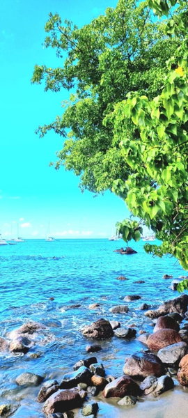 Bungalow et Duplex de Island Bay, Bouillante, Guadeloupe