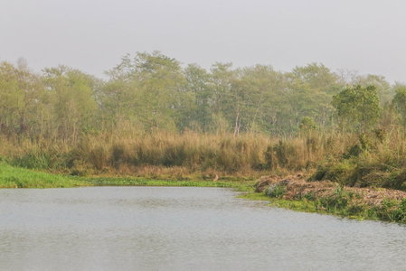 Jagatpur Lodge, Jagatpur, Nepal