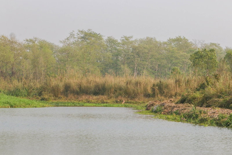 Jagatpur Lodge, Jagatpur, Nepal
