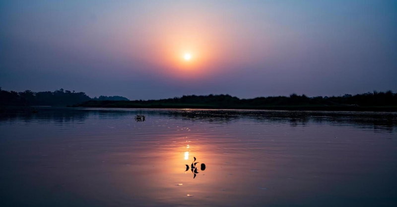 Hotel Riverside with Swimming pool, Sauraha, Nepal