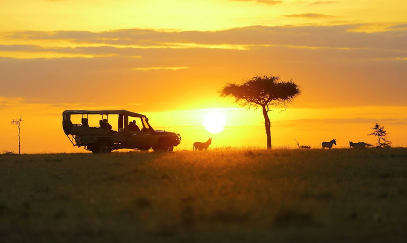 Basecamp Masai Mara, Maasai Mara, Kenya