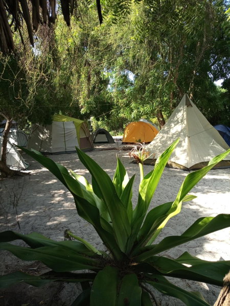 Mida Creek Eco Camp, Watamu, Kenya