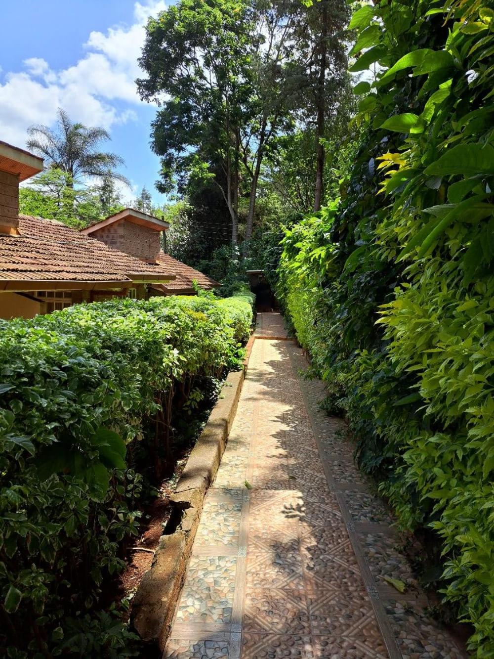 Rosslyn Studios, Kenia