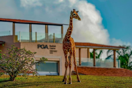 Vipingo Ridge limited, Kilifi, Kenya
