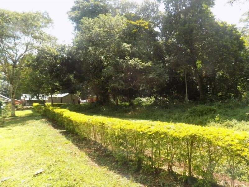 Mirembe Resort Beach Hotel, Bugala Island, Uganda