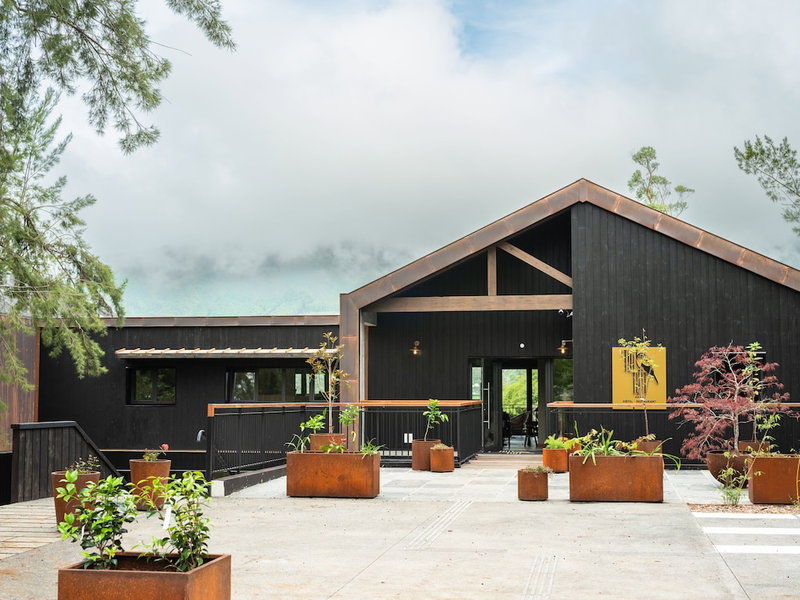 Le Tuit Tuit, La Plaine-des-Palmistes, Reunion
