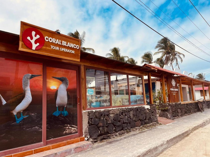 Hotel Coral Blanco with high speed internet Starlink and Galapagos Tour Operator, Puerto Villamil, Ecuador