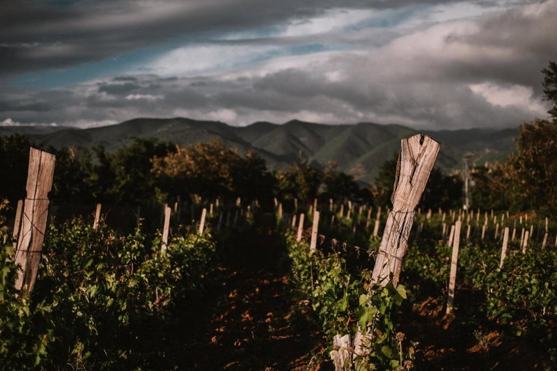 Popova Kula Hotel & Winery, Demir Kapija, Nordmazedonien