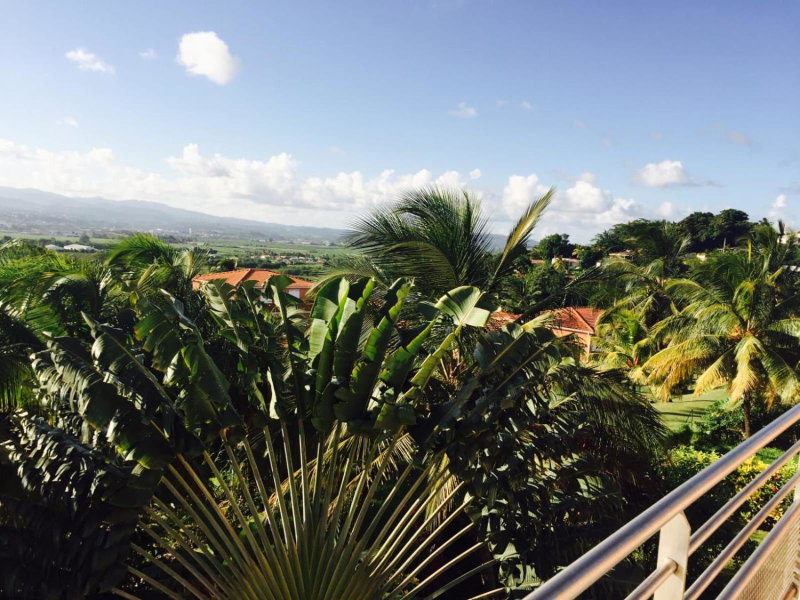 Grand Appartement De Standing, Magnifique Vue Mer, Ducos, Martinique