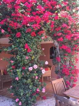 Al Fassia Aguedal, Marrakesh, Morocco