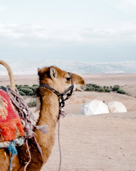 Emeraude Camp Agafay, El Karia, Morocco