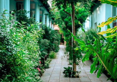 Sunlight Bungalow, Duong GJong, Vietnam