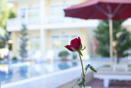 Lam Ha Resort, Duong GJong, Vietnam