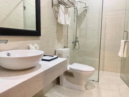 Paragon House and Residence, Quang Minh, Vietnam