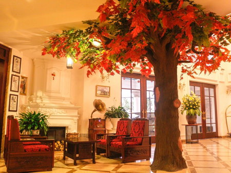 Ngoc Phat Dalat Hotel, Da Lat, Vietnam