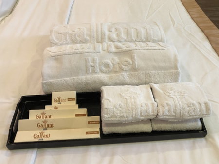 Gallant Hotel, Hà Nội, Việt Nam