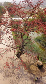 Tam Coc Horizon Bungalow, Ninh Binh, Việt Nam