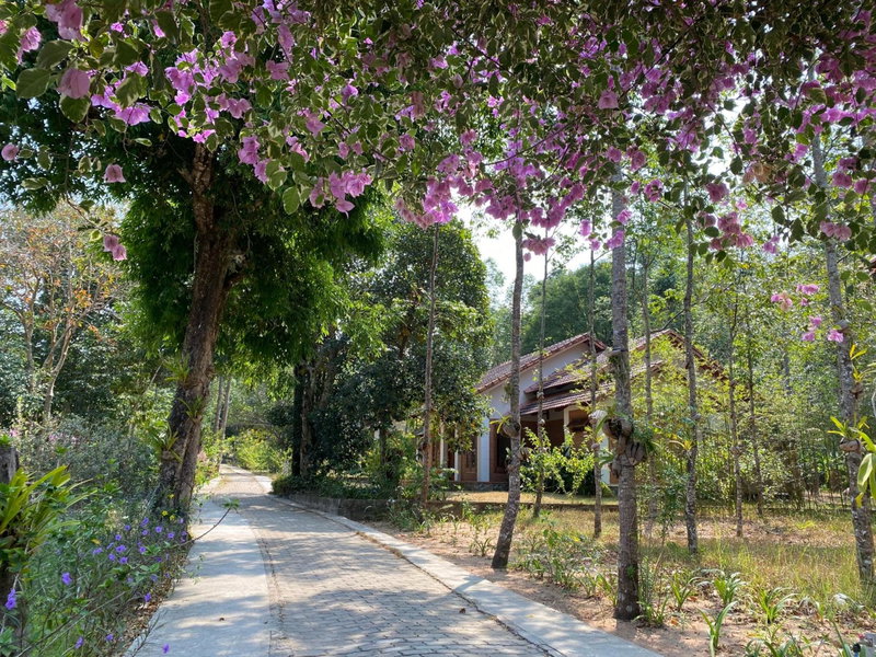 The Garden House Phu Quoc Resort, Duong GJong, Vietnam