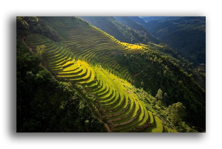 Tiger Sapa hotel, Lao Cai, Vietnam