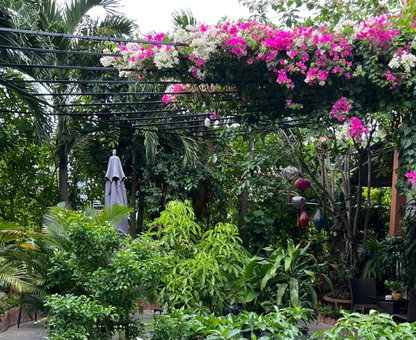 Phuc Thao Villa, Hoi An, Vietnam