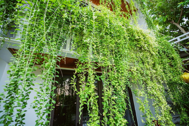 Tue Tam Garden Villa, Hoi An, Việt Nam