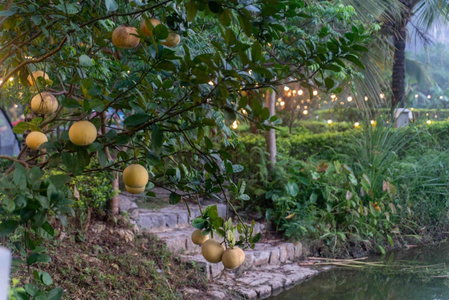 The Goat Boutique Resort, Ninh Binh, Việt Nam