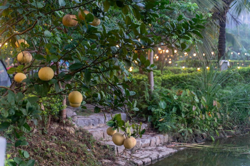 The Goat Boutique Resort, Ninh Binh, Việt Nam