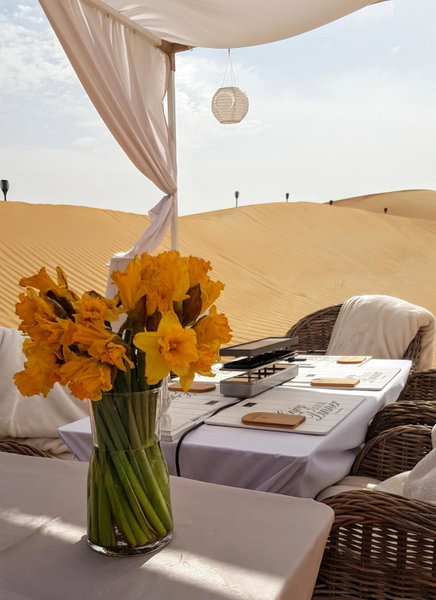 Starlight Camp, Dubai, United Arab Emirates