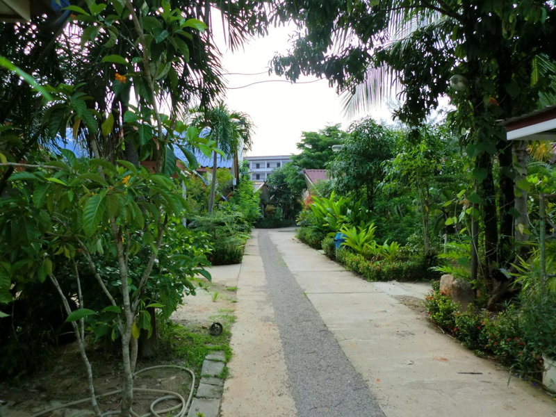 The Krabi Forest Homestay, Krabi, ประเทศไทย