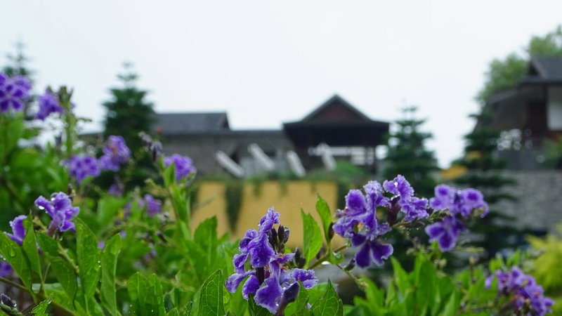 Onsen at Moncham, Chiang Mai, Thailand