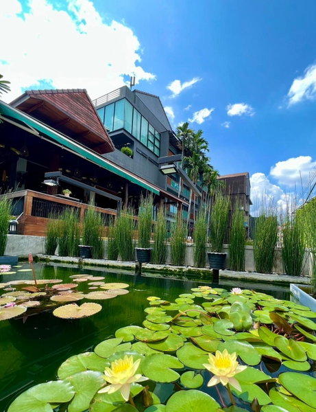 Le Naview @Prasingh, Chiang Mai, Thailand
