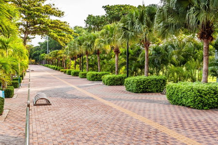 Cholchan Pattaya Beach Resort - SHA Extra Plus, Bang Lamung, Thailand