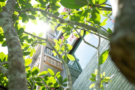 SHAN Villas Sukhumvit ฌานวิลล่า สุขุมวิท, Makkasan, Thailand