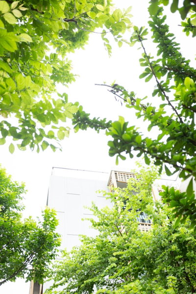 SHAN Villas Sukhumvit ฌานวิลล่า สุขุมวิท, Makkasan, Thailand