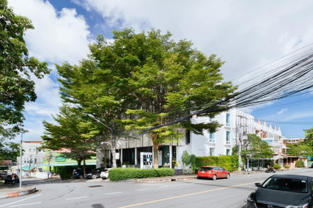 Blu Monkey Boutique Samkong, formerly Blu Monkey Bed & Breakfast Phuket, Wichit, Thailand