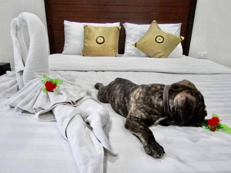 Vivi Boutique Room Hotel SHA Plus, Ban Chalong, Thailand