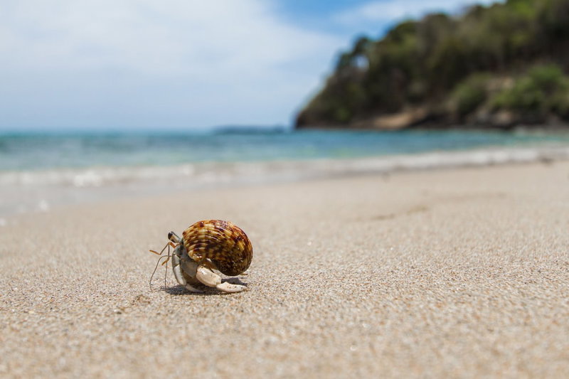 Anda Lanta Resort, Ko Lanta, Thailand