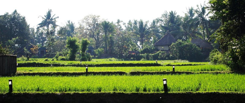 Saren Indah Hotel, Ubud, Indonesia
