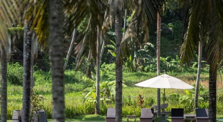 The Artini Dijiwa Ubud, Ubud, Indonesia