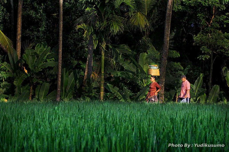 Tetirah Boutique Hotel, Ubud, Indonesia