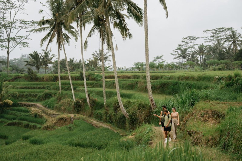 Bambootel Sawah View, Ubud, Indonesia