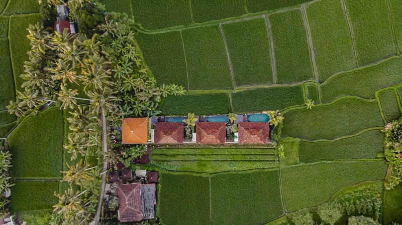 Airsania Ubud Antique Villas, Ubud, Indonesia