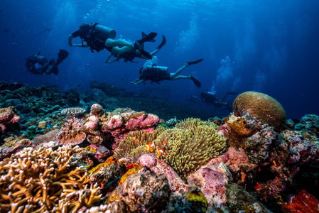 Trawangan Dive Centre, Gili Trawangan, Indonesia